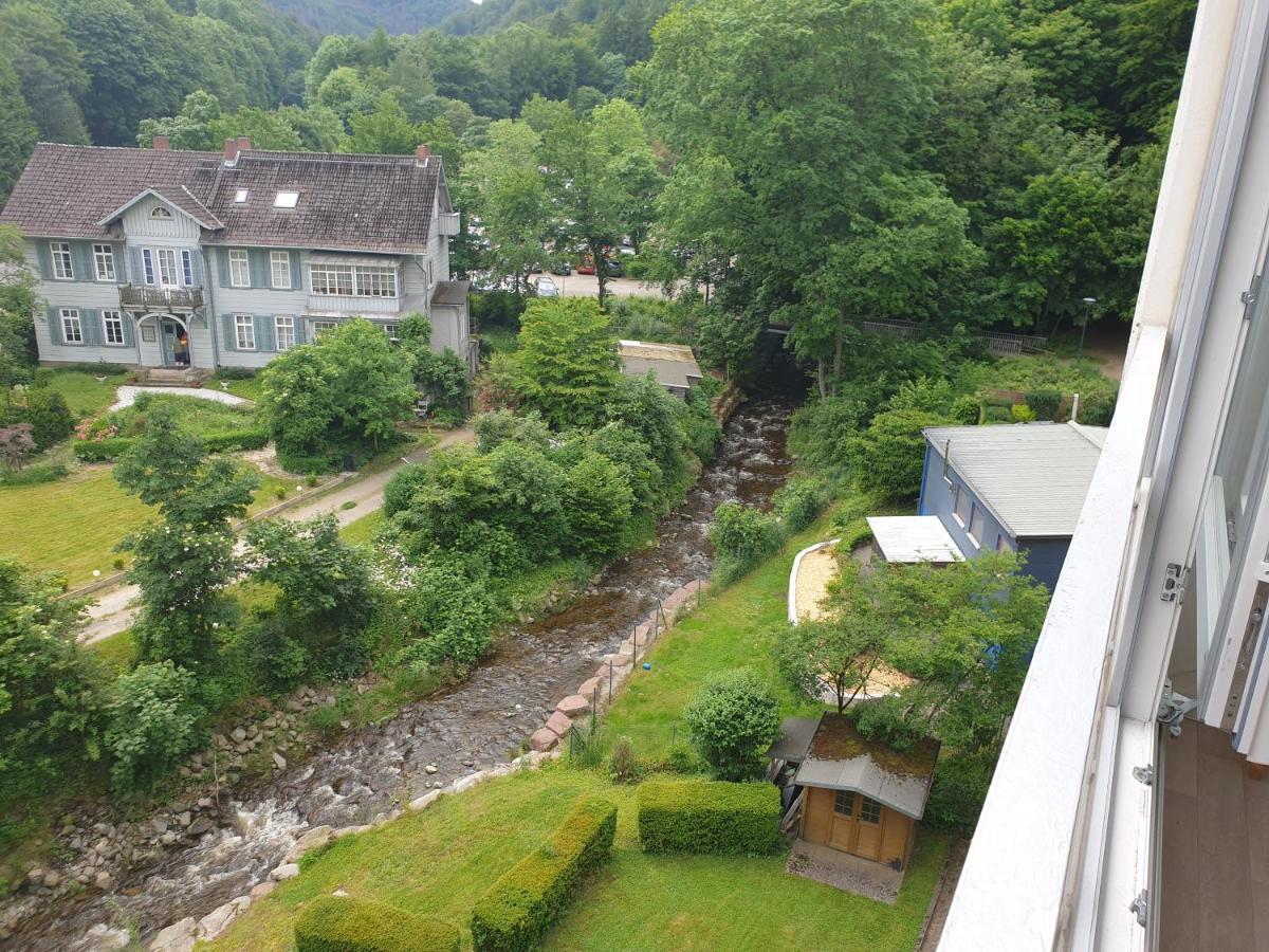Apartz - Bad Harzburg - Apartment Mit Sauna In Idealer Lage Mit Bergblick Екстериор снимка