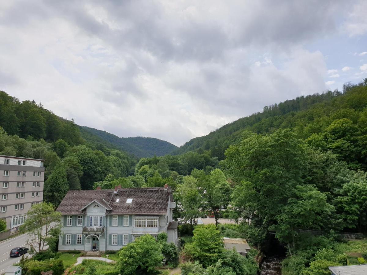 Apartz - Bad Harzburg - Apartment Mit Sauna In Idealer Lage Mit Bergblick Екстериор снимка